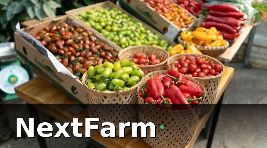 NextFarm — Chi Phí Đầu Tư Vườn Tiêu Gồm Những Gì?