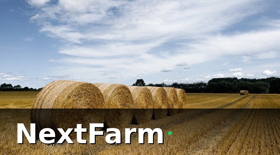 NextFarm — Tổng Vốn Đầu Tư: Bức Tranh Toàn Cảnh