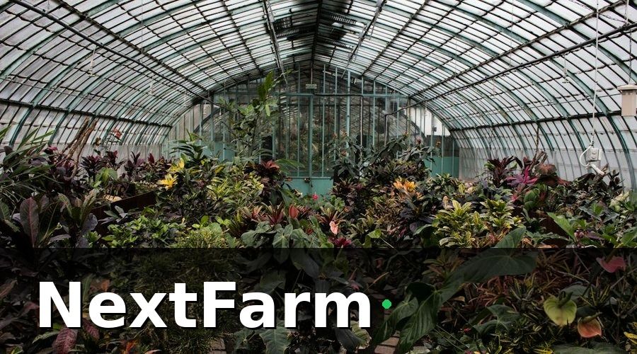 NextFarm — Những con số thực tế từ các trang trại đã chuyển đổi