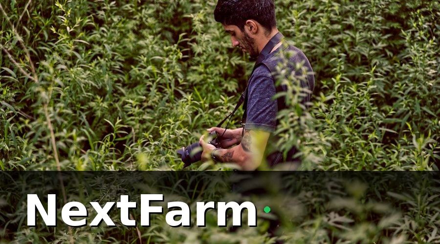 NextFarm — Lợi ích khi giảm chi phí điện nước hệ thống tưới tự động