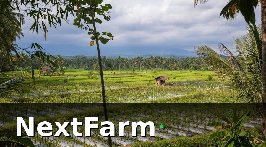 NextFarm — Chi phí điện nước ruộng lúa gồm những gì?