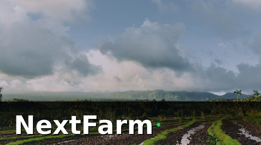 NextFarm — 5 cách thực tế để giảm 30% chi phí điện nước