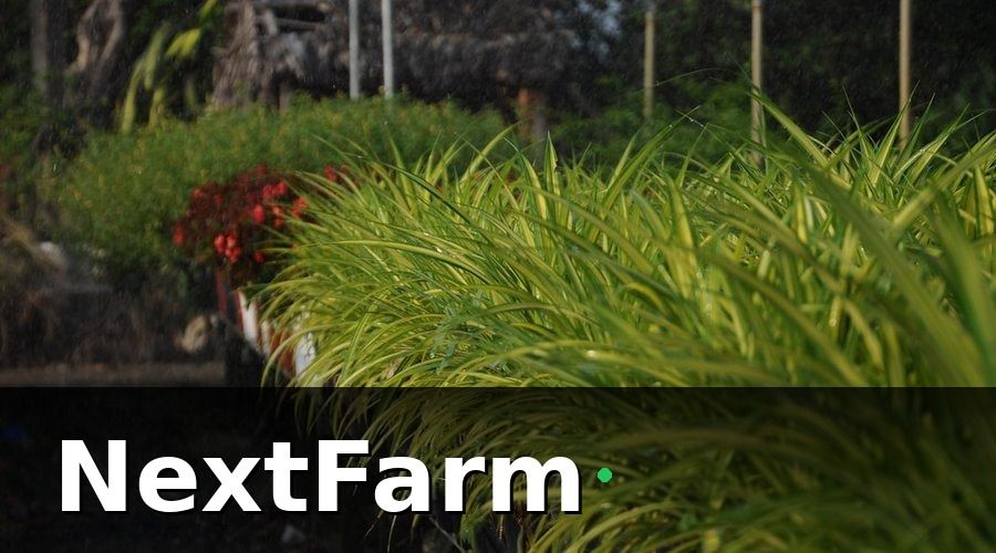 NextFarm — 6 cách giảm chi phí điện nước nhà kính hiệu quả