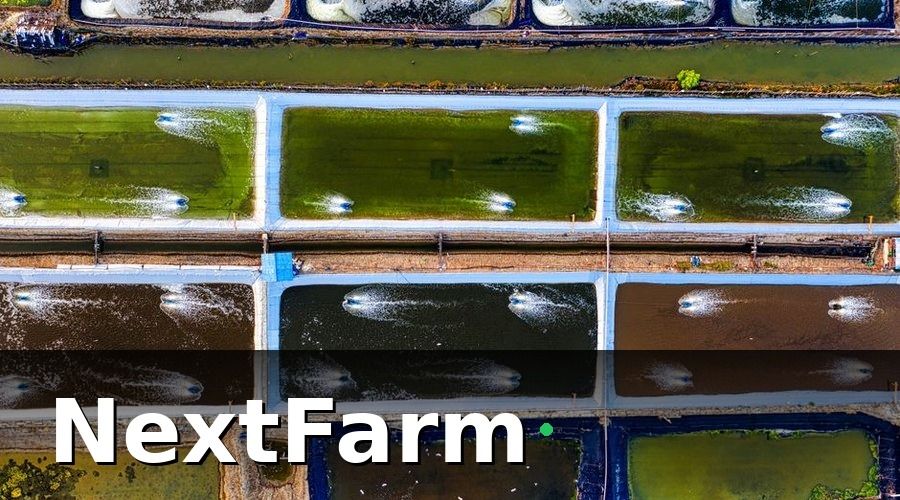 NextFarm — Tại sao chi phí điện trong nuôi tôm công nghiệp lại cao đến vậy?