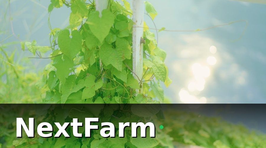 NextFarm — Chi phí điện nước trong trang trại thủy canh gồm những gì?