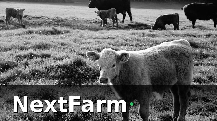 NextFarm — Điện và nước chiếm bao nhiêu trong chi phí trang trại bò thịt?