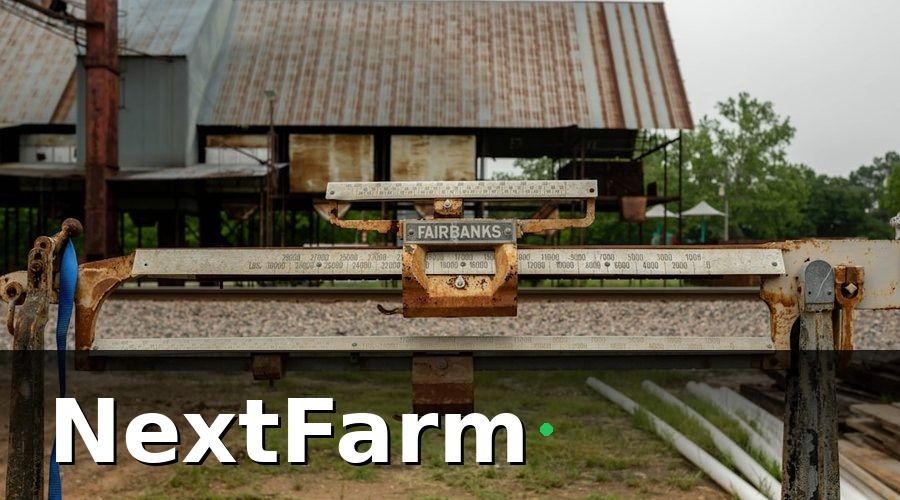 NextFarm — Chi phí điện nước trang trại dê cừu thường đến từ đâu?