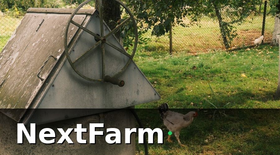 NextFarm — Chiến lược giảm chi phí điện trang trại gà