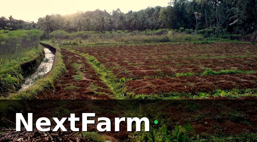 NextFarm — Chiến lược giảm chi phí nước trang trại gà
