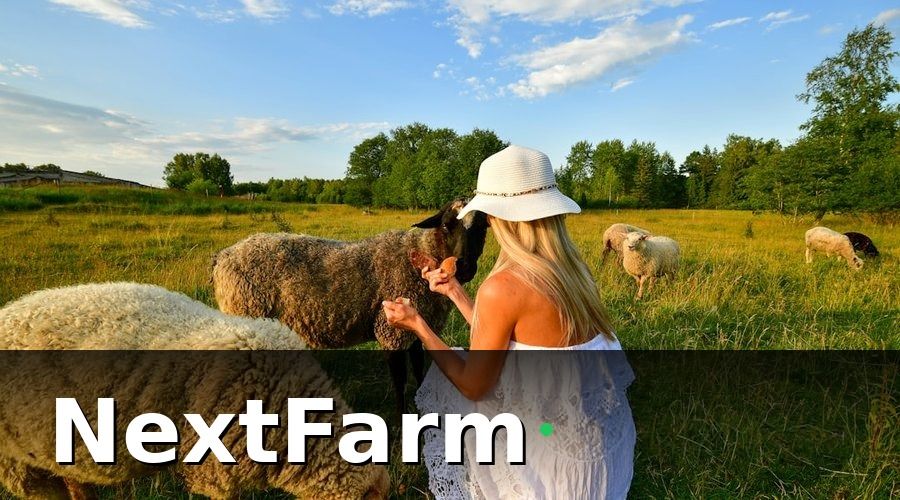 NextFarm — Vai trò của phần mềm VietGAP trong quản lý chi phí điện nước