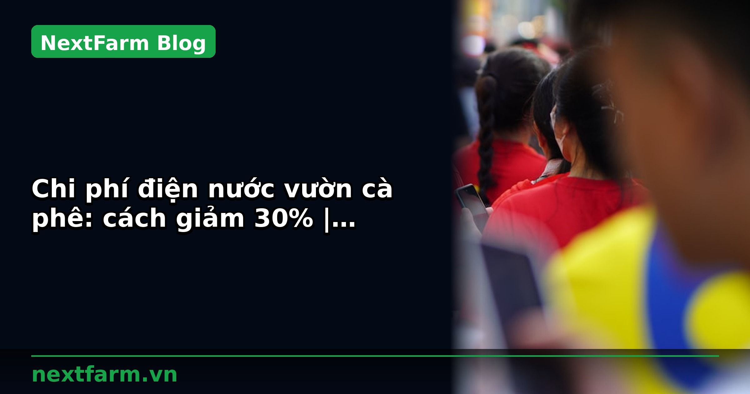 Chi phí điện nước vườn cà phê: cách giảm 30% | NextFarm