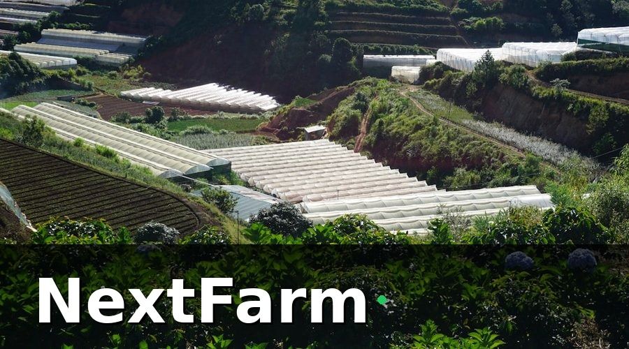 NextFarm — Tại sao chi phí điện nước vườn cà phê cao hơn bạn nghĩ?