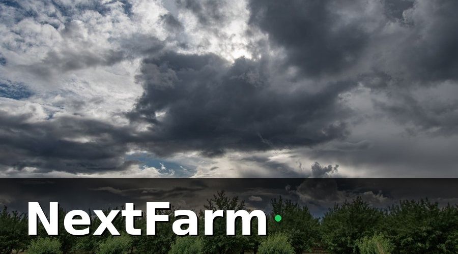 NextFarm — Vì sao chi phí điện nước vườn cây ăn quả lại cao đến vậy?