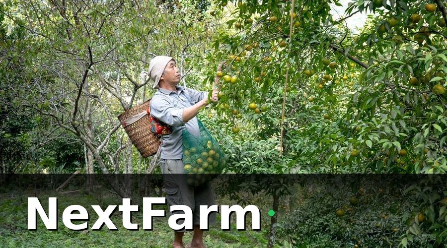 NextFarm — Tổng hợp: Lộ trình giảm 30% chi phí điện nước