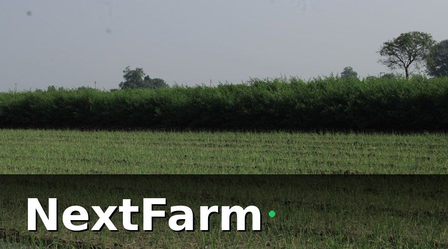 NextFarm — Tại Sao Chi Phí Điện Nước Vườn Tiêu Luôn Cao Hơn Kỳ Vọng?