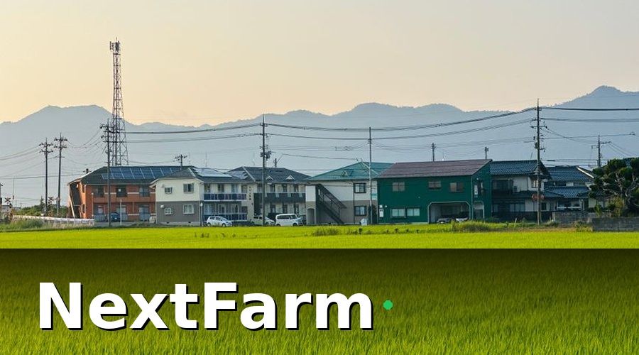 NextFarm — Cách Giảm Chi Phí Điện 30%: 5 Bước Thực Tế