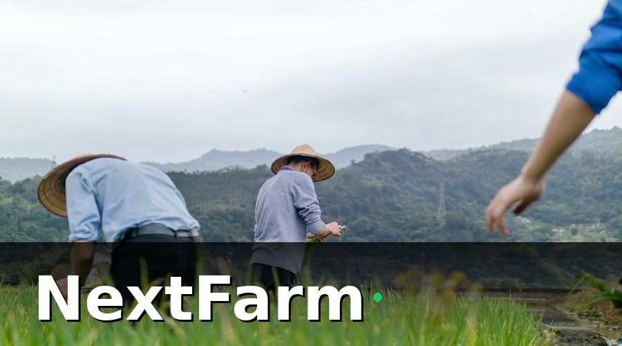 NextFarm — Tại Sao Cần Tính Chi Phí Số Hóa Trước Khi Đầu Tư?