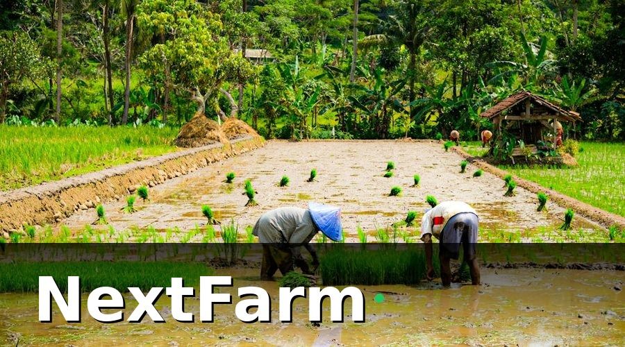 NextFarm — Các Chính Sách Hỗ Trợ Chính Năm 2026