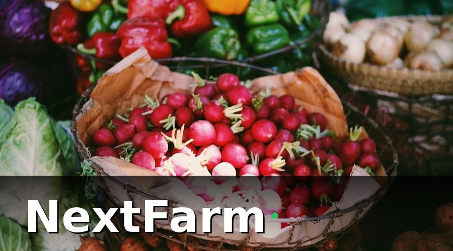 NextFarm — Thực Trạng Chuỗi Giá Trị Nông Sản Việt Nam Hiện Nay