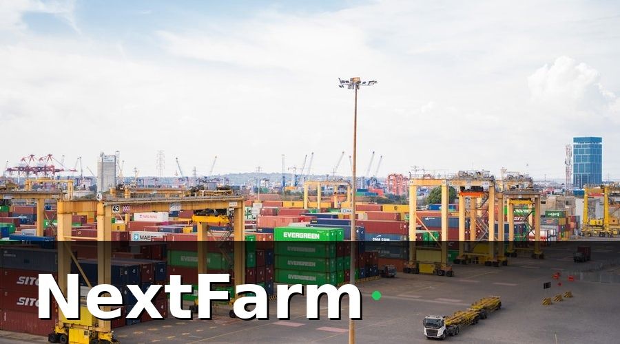 NextFarm — Các Mắt Xích Tạo Ra Giá Trị Trong Chuỗi Nông Sản