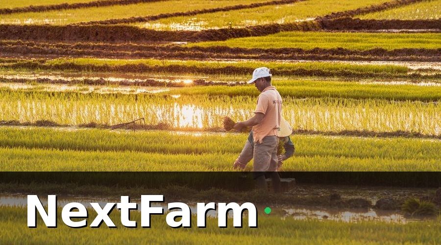 NextFarm — Computer Vision Là Gì? Giải Thích Đơn Giản Cho Người Làm Nông