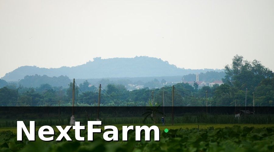 NextFarm — VietGAP Là Gì Và Tại Sao HTX Cần Đăng Ký?