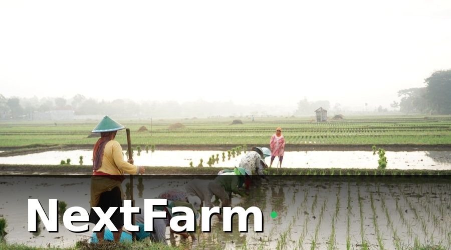 NextFarm — Quy Trình Đăng Ký VietGAP Cho HTX — 7 Bước Chi Tiết
