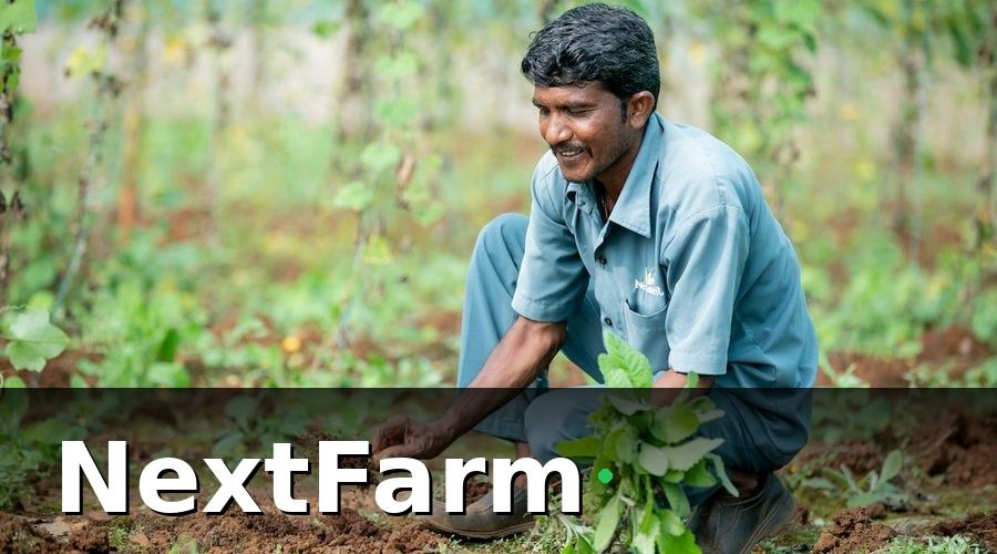 NextFarm — Tại sao cần đào tạo nhân viên sử dụng AI phát hiện sâu bệnh?
