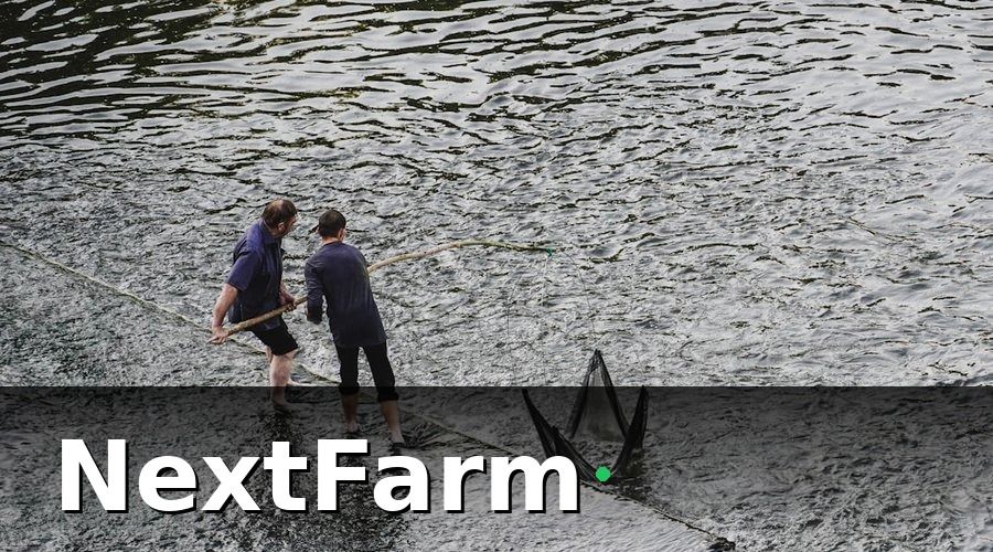 NextFarm — Vì Sao Đào Tạo Nhân Viên Ao Nuôi Lại Khó?