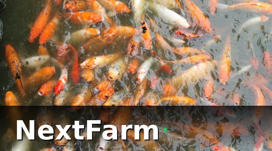 NextFarm — Bước 1: Phân Nhóm Nhân Viên Theo Vai Trò Sử Dụng