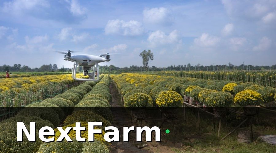 NextFarm — Xác định mục tiêu đào tạo trước khi bắt đầu