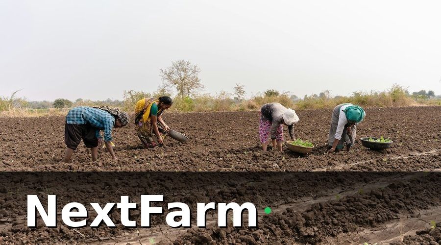NextFarm — Phân Loại Nhóm Nhân Viên Cần Đào Tạo