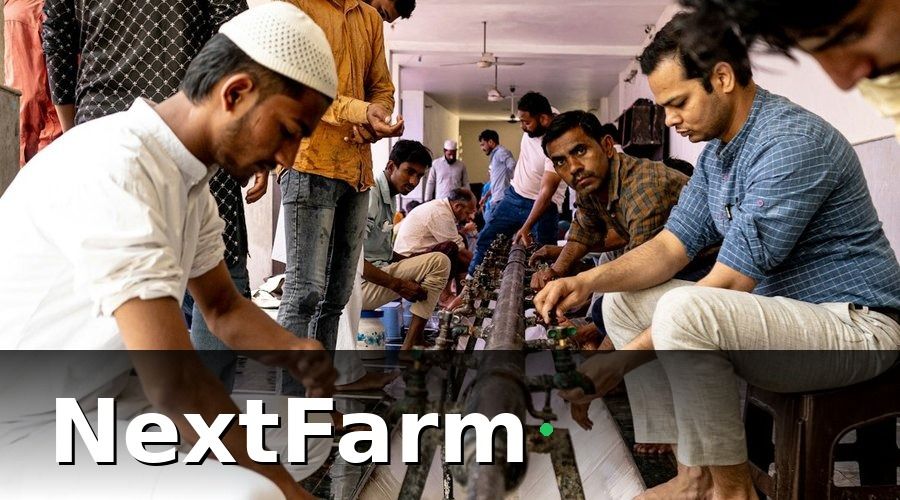 NextFarm — Xác định nhu cầu đào tạo theo vị trí