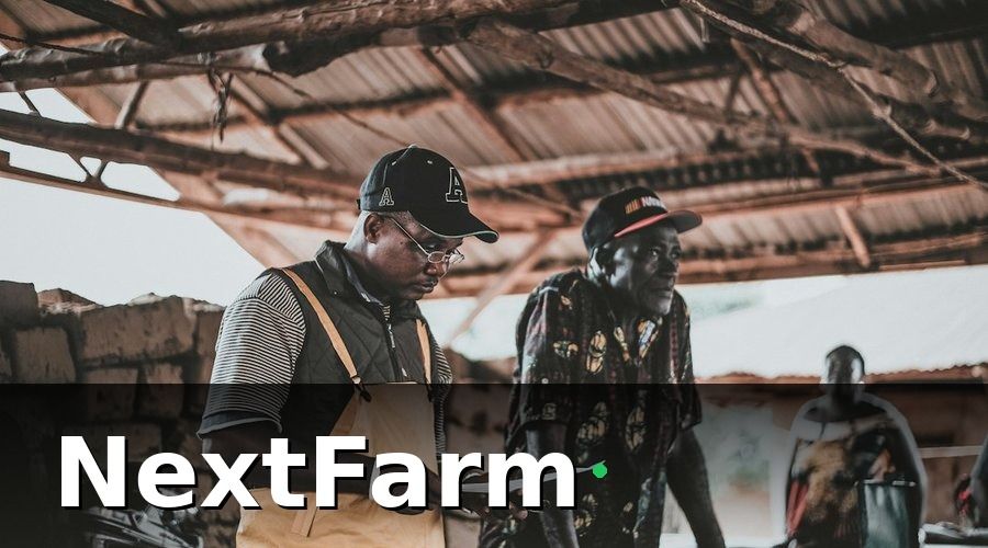 NextFarm — Lộ trình đào tạo 4 tuần