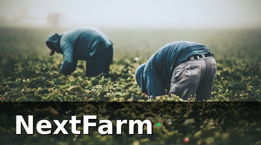 NextFarm — Vì Sao Đào Tạo Nhân Viên Nông Trại Organic Khác Với Các Ngành Khác