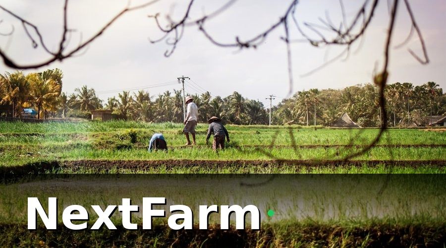 NextFarm — Tại Sao Đào Tạo Nhân Viên Là Bước Không Thể Bỏ Qua