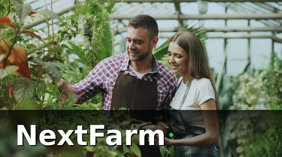 NextFarm — Tại Sao Đào Tạo Nhân Viên Là Bước Không Thể Bỏ Qua