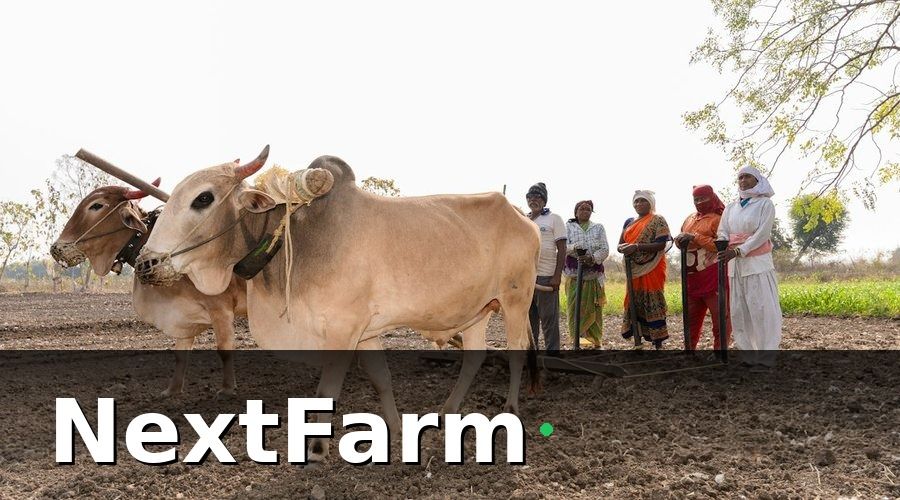 NextFarm — Thiết kế lộ trình đào tạo 4 buổi