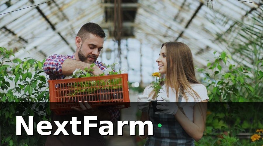 NextFarm — Tại sao đào tạo nhân viên là bước không thể bỏ qua?
