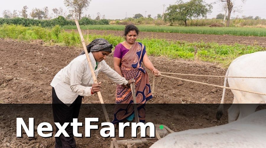 NextFarm — Bước 1 — Phân loại nhân viên theo vai trò và mức độ tiếp cận