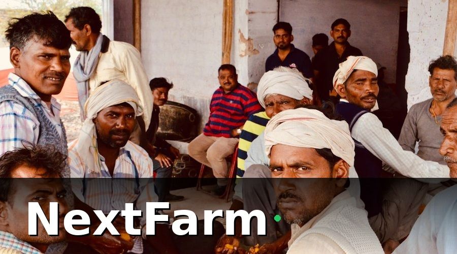 NextFarm — Phân Nhóm Nhân Viên Trước Khi Đào Tạo