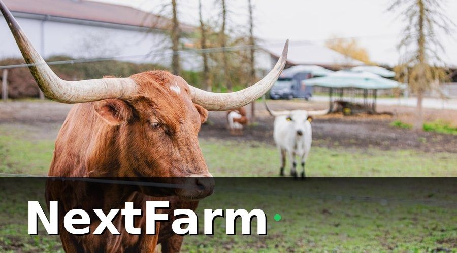 NextFarm — Vì Sao Đào Tạo Nhân Viên Là Bước Không Thể Bỏ Qua?