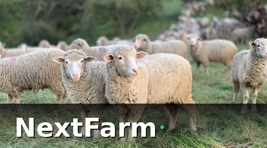 NextFarm — Xác định nhóm nhân viên cần đào tạo