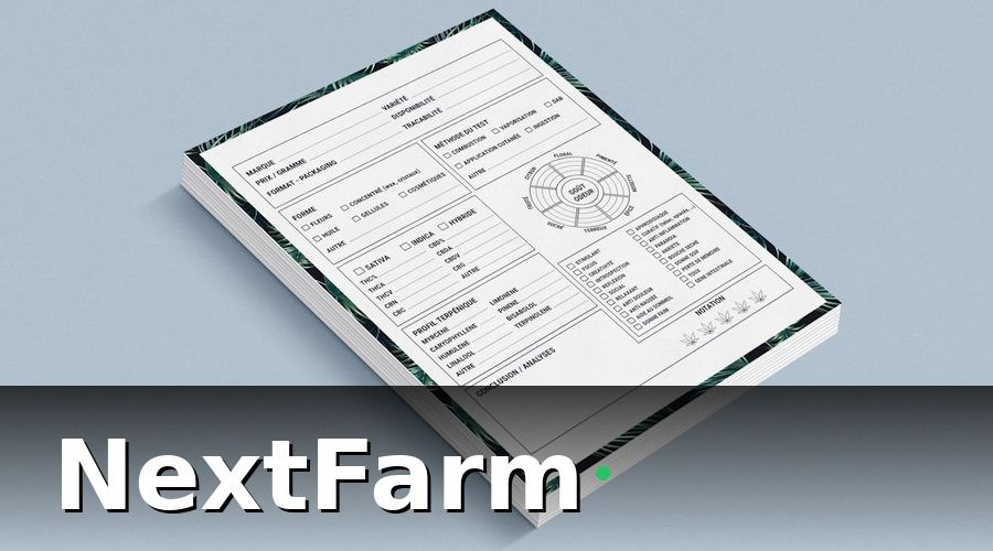 NextFarm — Bước 1: Phân Loại Nhân Viên Theo Vai Trò Và Mức Độ Cần Đào Tạo