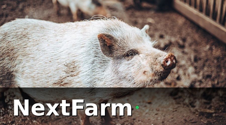 NextFarm — Tại Sao Đào Tạo Nhân Viên Là Yếu Tố Quyết Định Thành Bại