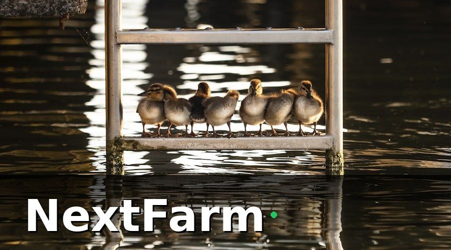 NextFarm — Bước 1 — Phân Nhóm Nhân Viên Trước Khi Đào Tạo