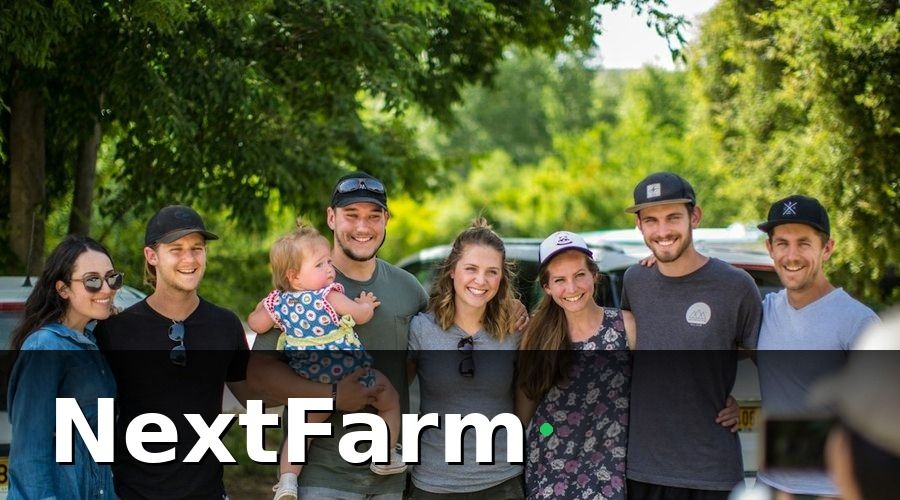 NextFarm — Phân Loại Nhân Viên Trước Khi Đào Tạo