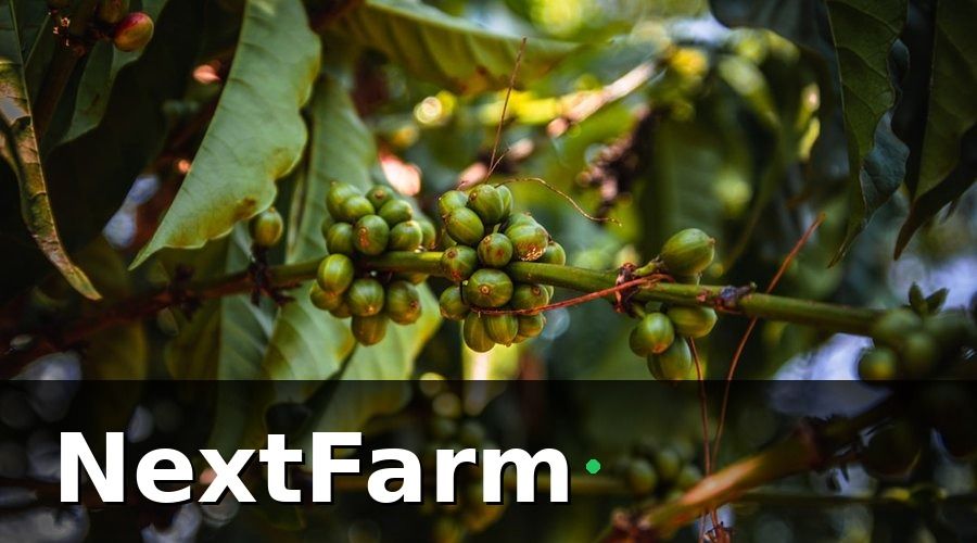 NextFarm — Tại Sao Đào Tạo Nhân Viên Là Bước Quan Trọng Nhất?