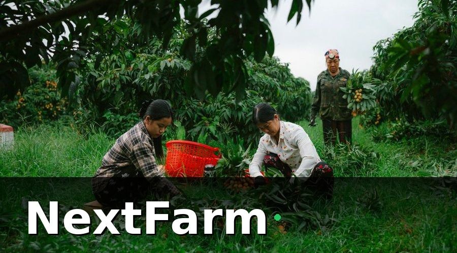 NextFarm — Tại sao đào tạo nhân viên là khâu không thể bỏ qua?