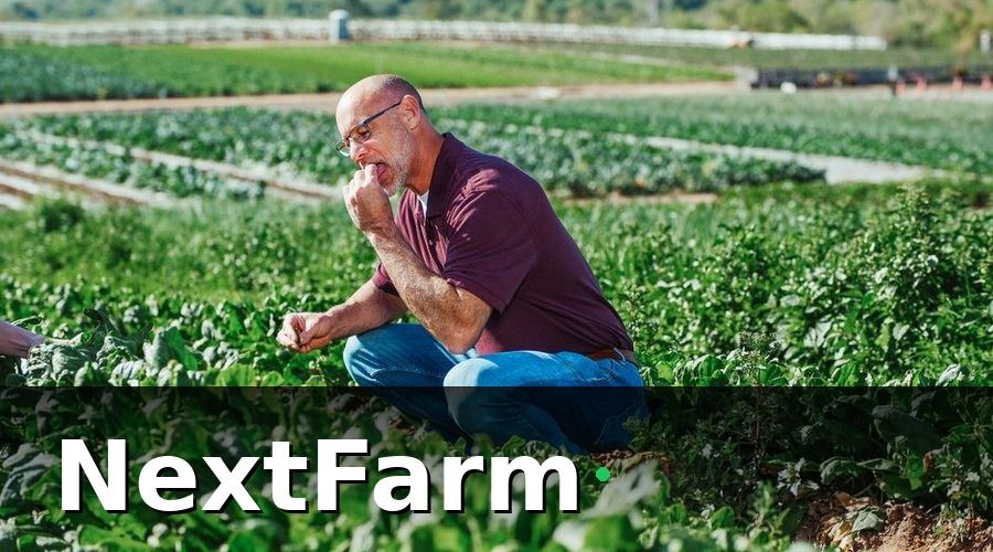 NextFarm — Hướng Dẫn Phân Tích Đất Trước Khi Trồng Rau